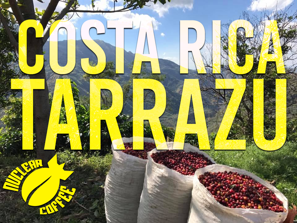 Costa Rica Tarrazu - Nuclear Coffee